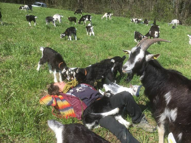 collaborons avec la Ferme des Bleuets